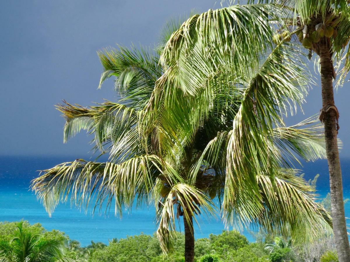 Mangoplaya Deshaies Exterior foto